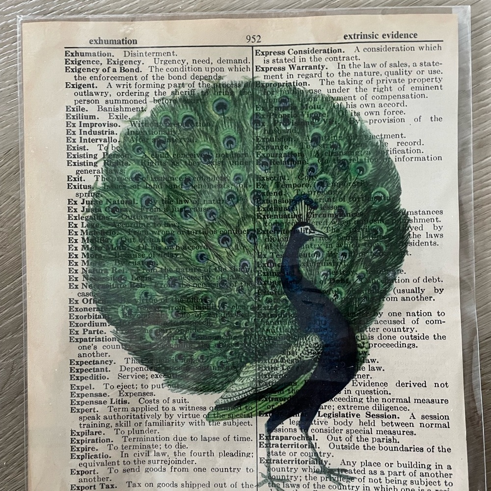 Dictionary page peacock artwork - 81/2 x 11